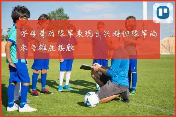 字母哥对绿军表现出兴趣但绿军尚未与雄鹿接触