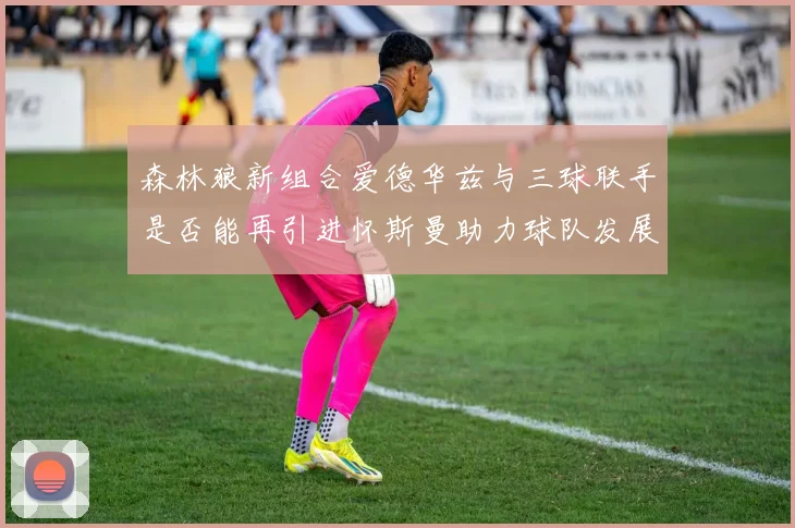 森林狼新组合爱德华兹与三球联手是否能再引进怀斯曼助力球队发展
