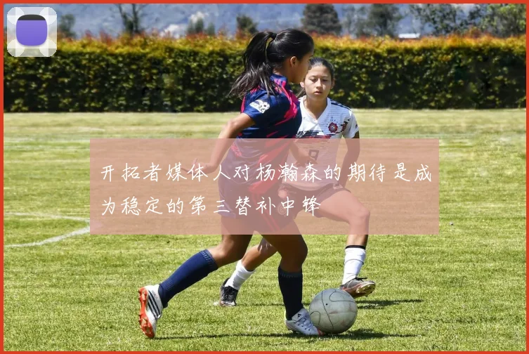 开拓者媒体人对杨瀚森的期待是成为稳定的第三替补中锋