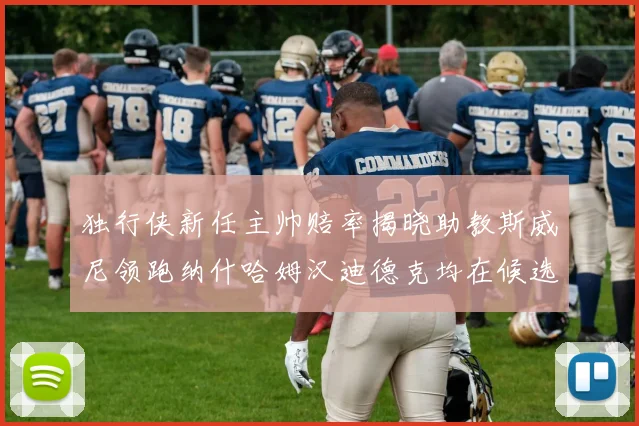 独行侠新任主帅赔率揭晓助教斯威尼领跑纳什哈姆汉迪德克均在候选之中